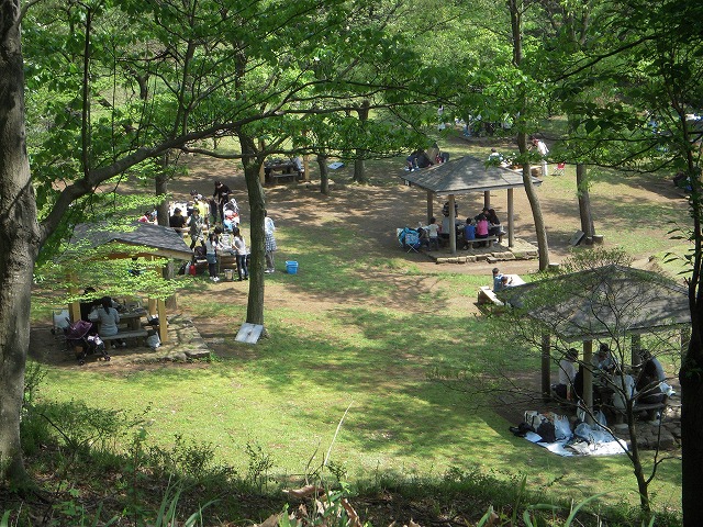 七沢森林公園